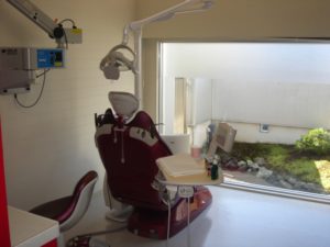 IT Dental Clinicでのインプラント勉強会　綾瀬市と海老名市の境に位置する柴垣歯科医院