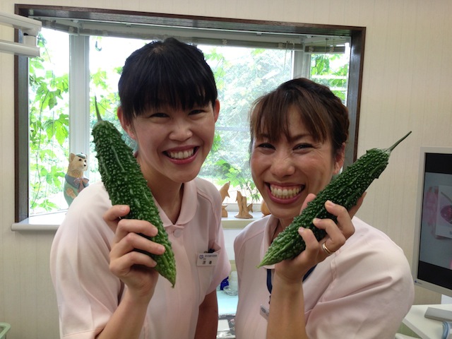収穫したゴーヤとスタッフ　柴垣歯科医院