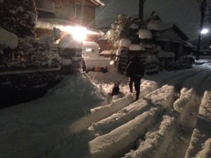 神奈川の大雪　綾瀬市と海老名市の境に位置する柴垣歯科医院