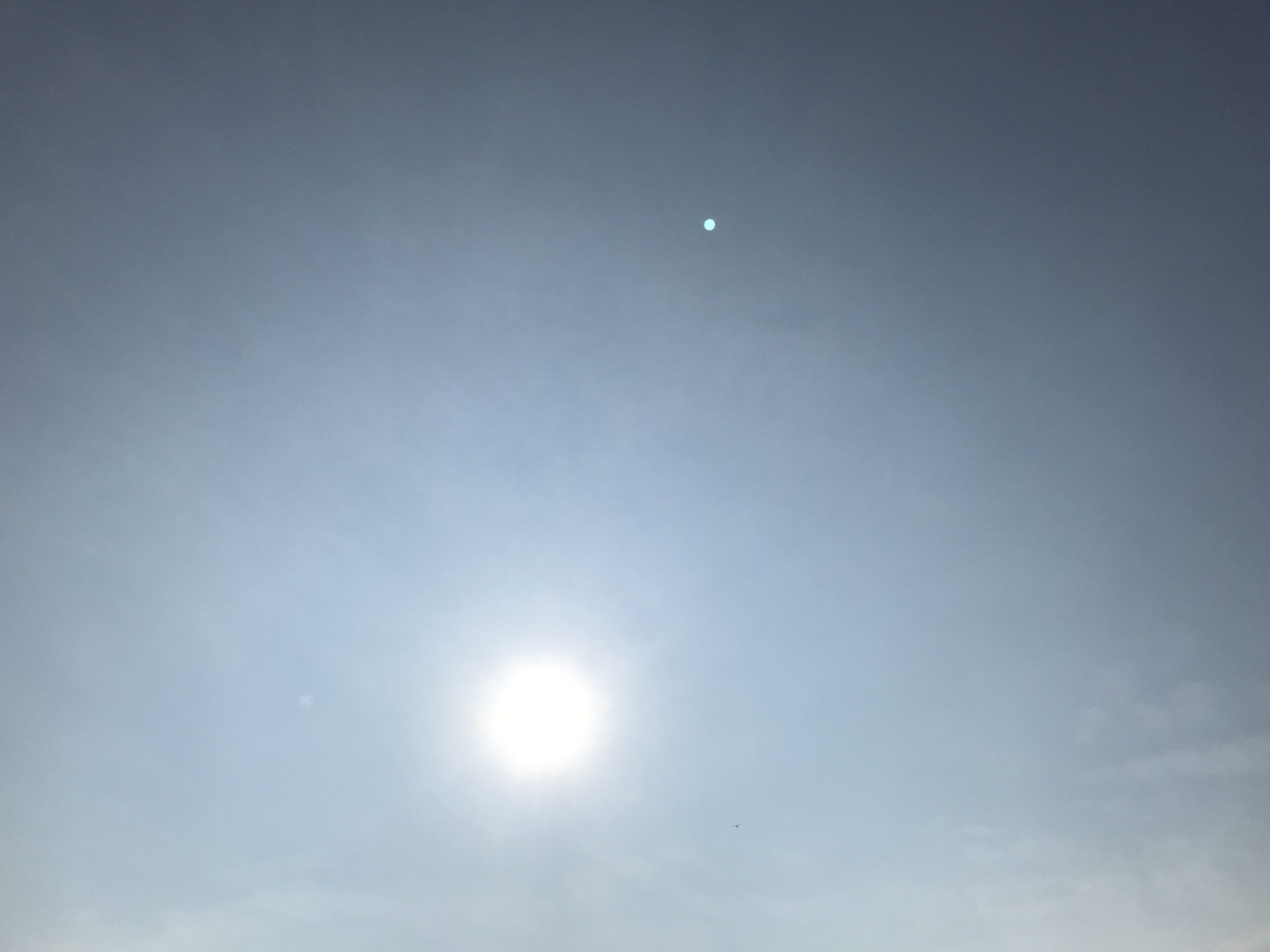 真夏の太陽　柴垣歯科医院スタッフ撮影