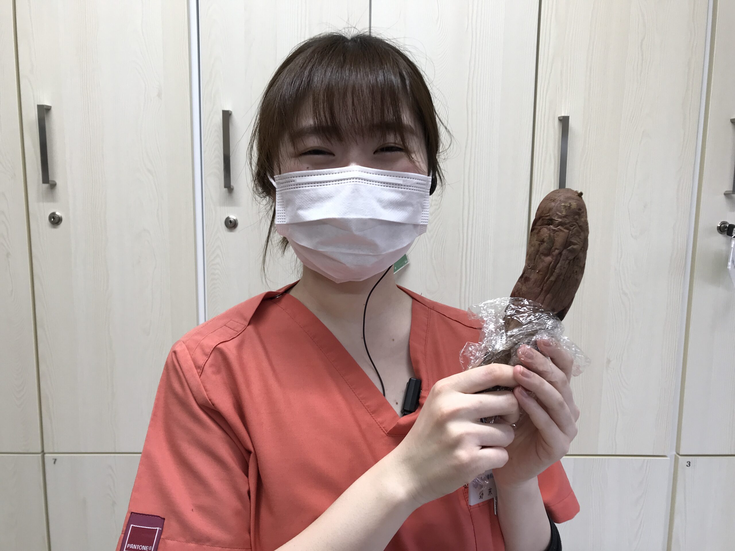 患者様からの差し入れのサツマイモ　綾瀬市と海老名市の境に位置する柴垣歯科医院