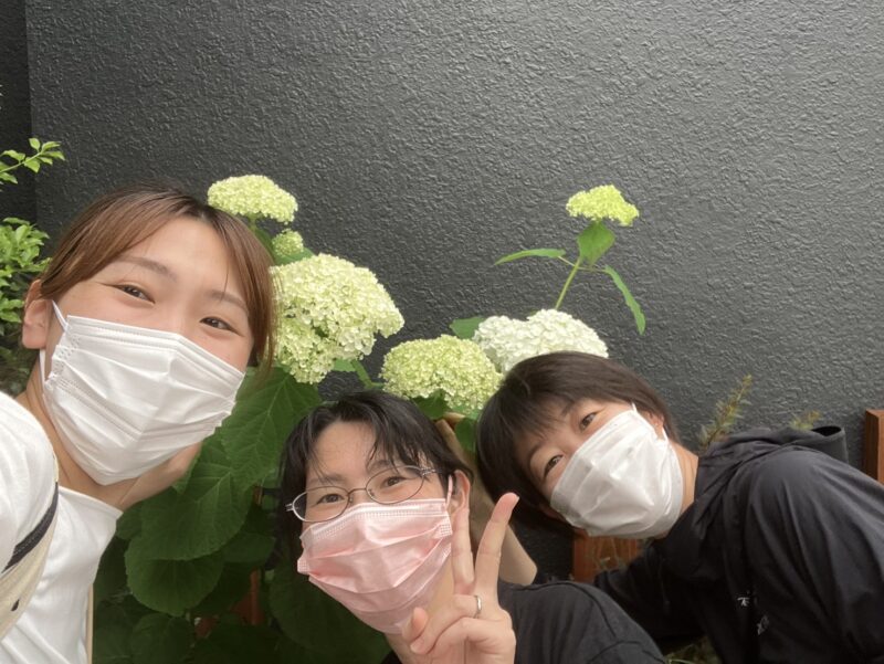 綾瀬市海老名市柴垣歯科医院　梅雨　紫陽花