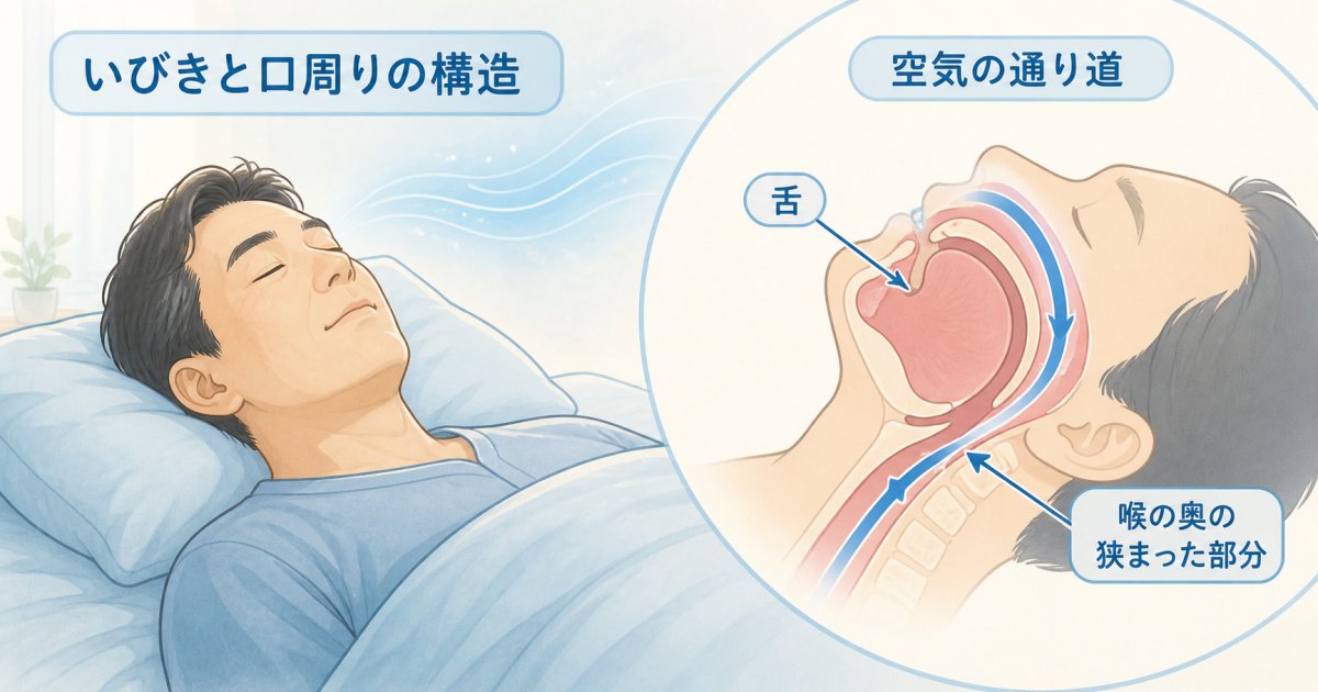 太っていないのにいびき？口周りの構造と気道が狭まる3つの原因