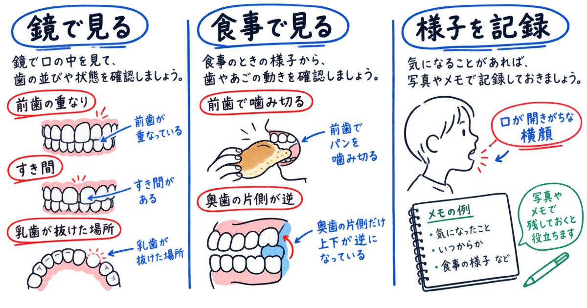 親子でできる歯並びチェックでは、どこを見る？